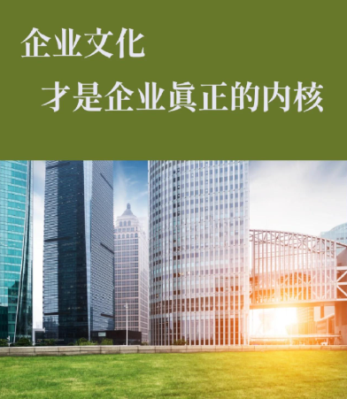 皮带流水线在电子产品装配中的应用案例与选型要点